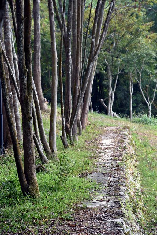 Sun Moon Lake Bamboo Rock Garden Yuchi Εξωτερικό φωτογραφία